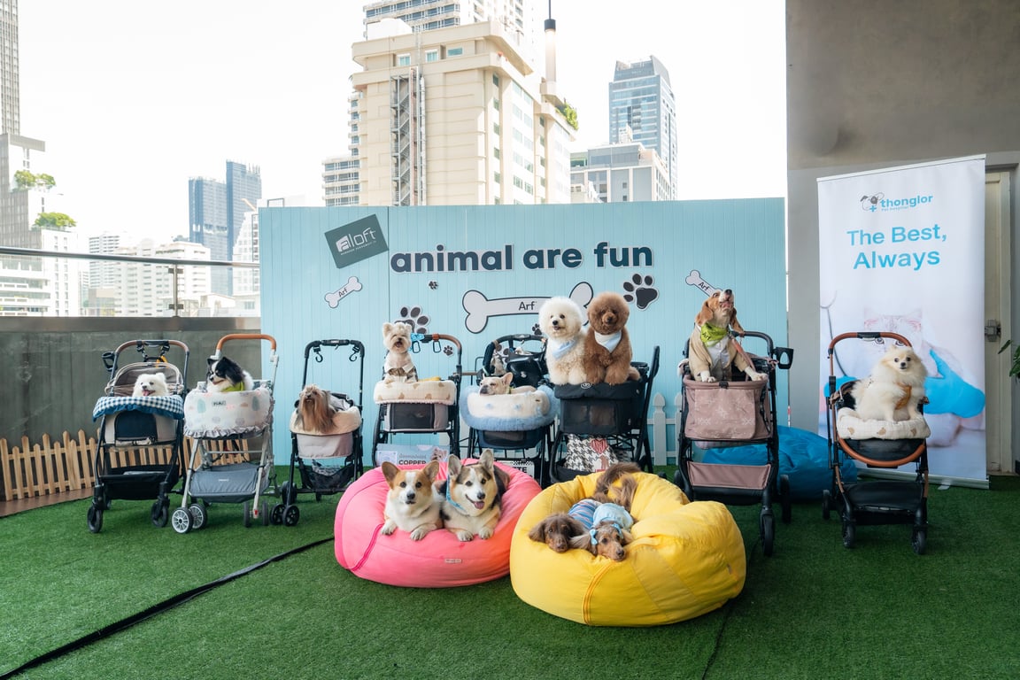 ชวนคนรักน้องหมาอิ่มอร่อยกับ Sunday Brunch & Bark ใจกลางสุขุมวิท พร้อมบุฟเฟต์สำหรับเพื่อนซี้สี่ขา